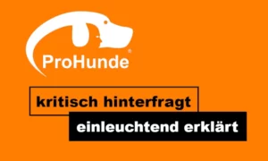 Pro Hunde; kritisch hinterfragt; einleuchtend erklärt