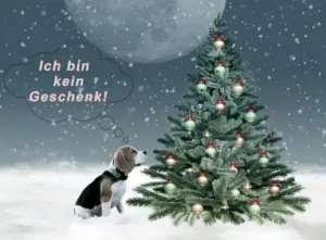 Beitragsbild Weihnachtszeit: Die Wahrheit hinter tierischen Geschenken